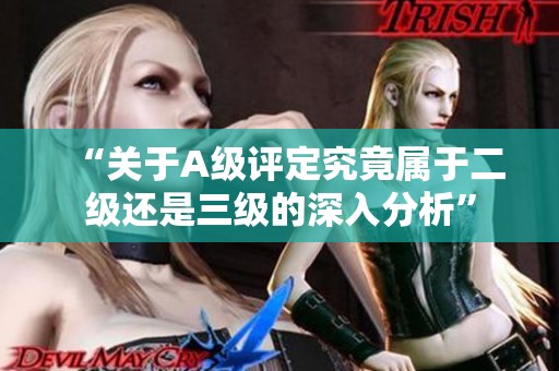 “关于A级评定究竟属于二级还是三级的深入分析”