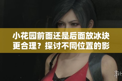 小花园前面还是后面放冰块更合理？探讨不同位置的影响与效果