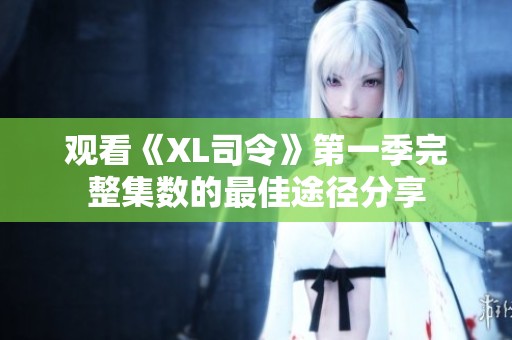 观看《XL司令》第一季完整集数的最佳途径分享