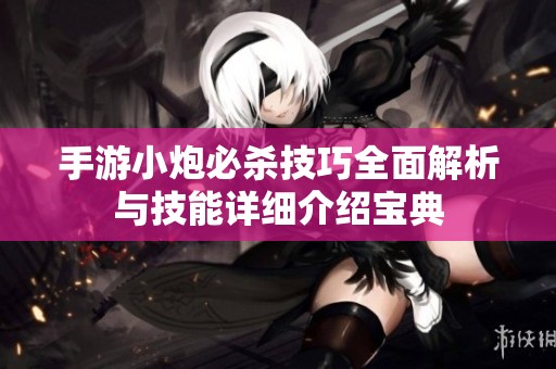 手游小炮必杀技巧全面解析与技能详细介绍宝典