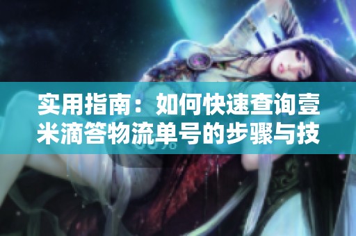 实用指南：如何快速查询壹米滴答物流单号的步骤与技巧