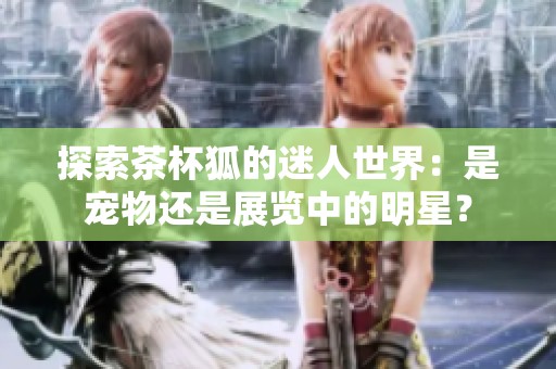 探索茶杯狐的迷人世界：是宠物还是展览中的明星？