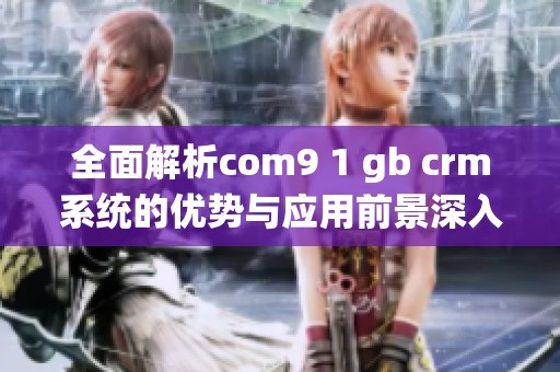 全面解析com9 1 gb crm系统的优势与应用前景深入探讨