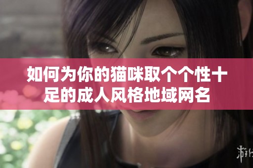 如何为你的猫咪取个个性十足的成人风格地域网名