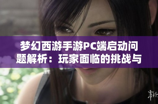 梦幻西游手游PC端启动问题解析：玩家面临的挑战与解决对策