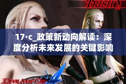 17·c_政策新动向解读：深度分析未来发展的关键影响因素与趋势