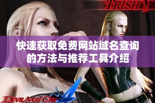 快速获取免费网站域名查询的方法与推荐工具介绍