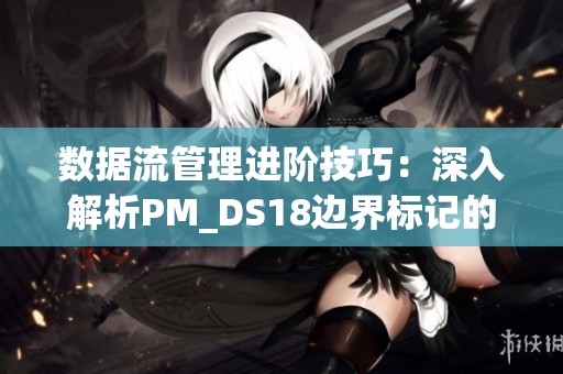 数据流管理进阶技巧：深入解析PM_DS18边界标记的高级应用方法
