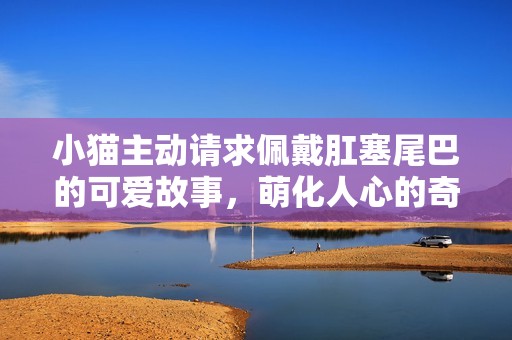 小猫主动请求佩戴肛塞尾巴的可爱故事，萌化人心的奇妙体验