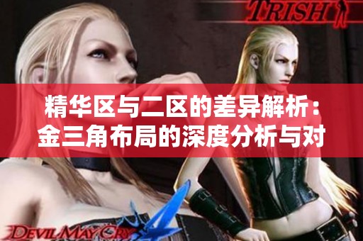 精华区与二区的差异解析：金三角布局的深度分析与对比