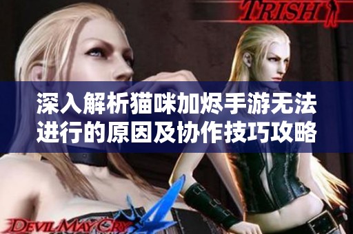 深入解析猫咪加烬手游无法进行的原因及协作技巧攻略