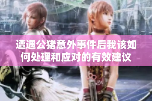 遭遇公猪意外事件后我该如何处理和应对的有效建议