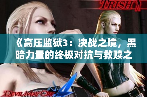 《高压监狱3：决战之境，黑暗力量的终极对抗与救赎之路》