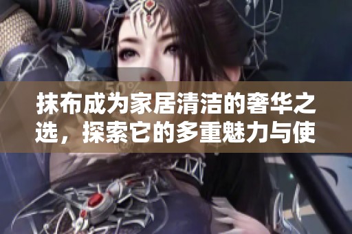 抹布成为家居清洁的奢华之选，探索它的多重魅力与使用价值
