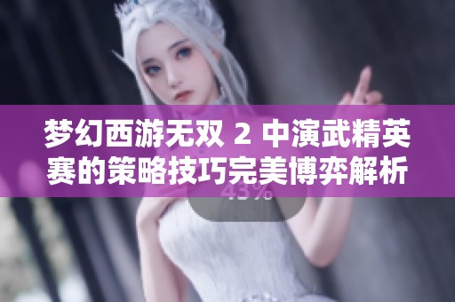 梦幻西游无双 2 中演武精英赛的策略技巧完美博弈解析
