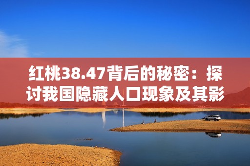 红桃38.47背后的秘密：探讨我国隐藏人口现象及其影响