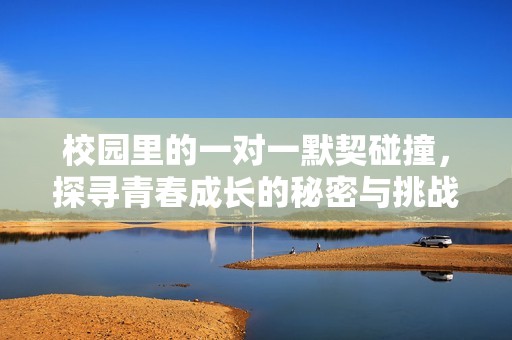 校园里的一对一默契碰撞，探寻青春成长的秘密与挑战