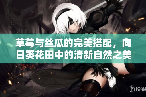草莓与丝瓜的完美搭配，向日葵花田中的清新自然之美