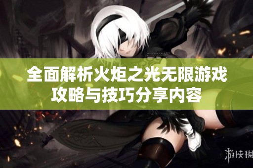 全面解析火炬之光无限游戏攻略与技巧分享内容