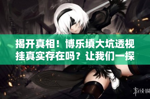揭开真相！博乐填大坑透视挂真实存在吗？让我们一探究竟