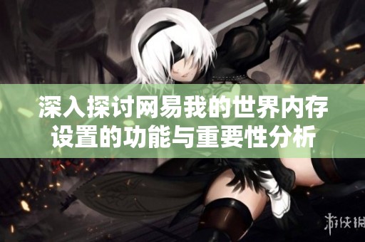 深入探讨网易我的世界内存设置的功能与重要性分析