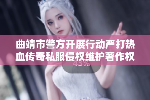 曲靖市警方开展行动严打热血传奇私服侵权维护著作权合法权益