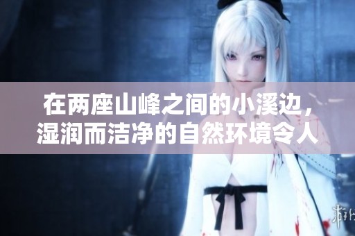 在两座山峰之间的小溪边，湿润而洁净的自然环境令人陶醉