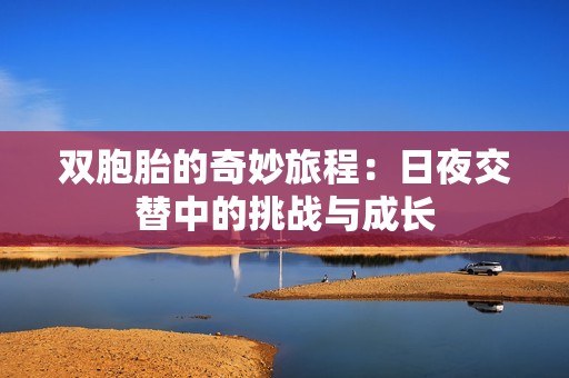 双胞胎的奇妙旅程：日夜交替中的挑战与成长