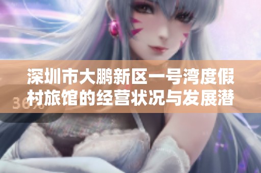 深圳市大鹏新区一号湾度假村旅馆的经营状况与发展潜力分析