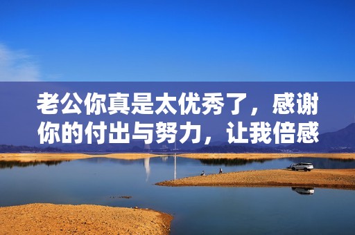 老公你真是太优秀了，感谢你的付出与努力，让我倍感幸福