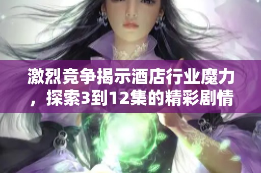 激烈竞争揭示酒店行业魔力，探索3到12集的精彩剧情与内幕揭秘