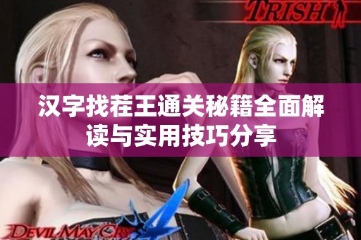 汉字找茬王通关秘籍全面解读与实用技巧分享