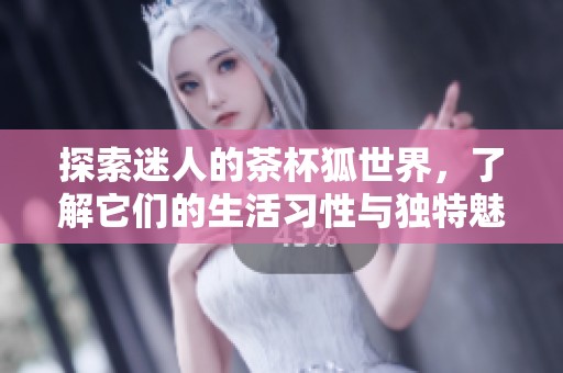探索迷人的茶杯狐世界，了解它们的生活习性与独特魅力