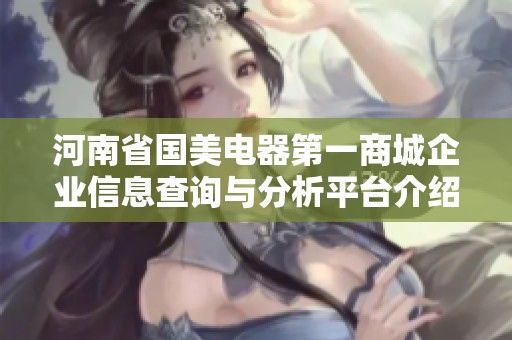 河南省国美电器第一商城企业信息查询与分析平台介绍