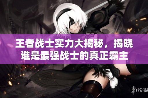王者战士实力大揭秘，揭晓谁是最强战士的真正霸主