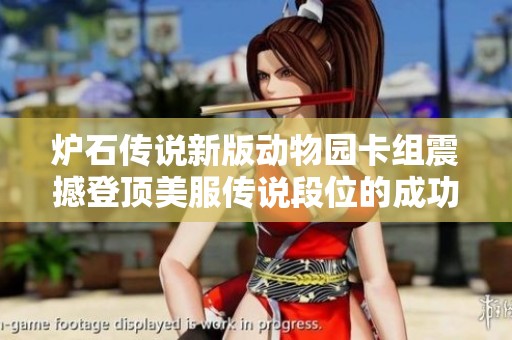 炉石传说新版动物园卡组震撼登顶美服传说段位的成功故事