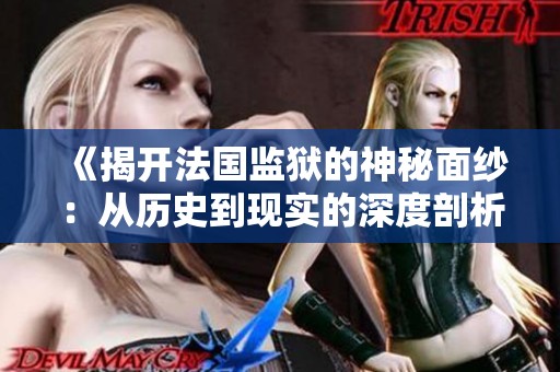《揭开法国监狱的神秘面纱：从历史到现实的深度剖析》