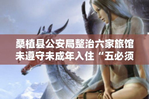 桑植县公安局整治六家旅馆未遵守未成年入住“五必须”规定情况