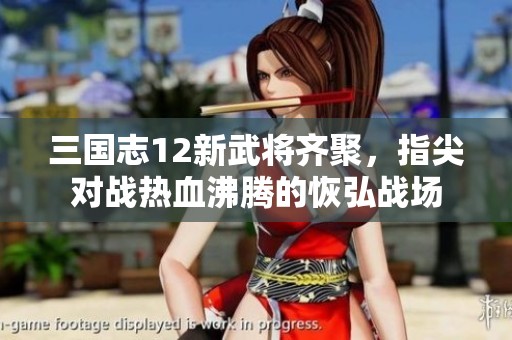 三国志12新武将齐聚，指尖对战热血沸腾的恢弘战场