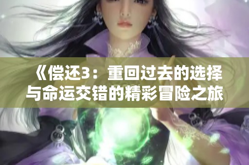 《偿还3：重回过去的选择与命运交错的精彩冒险之旅》