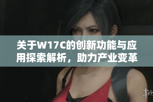 关于W17C的创新功能与应用探索解析，助力产业变革与技术进步