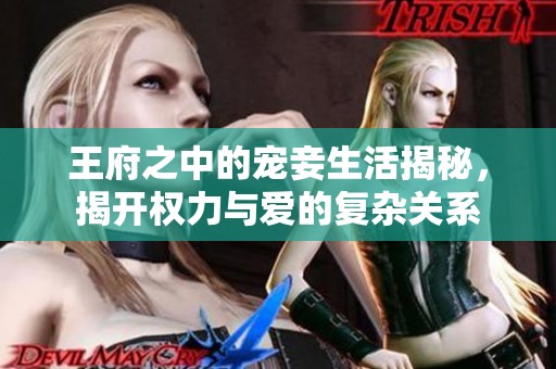 王府之中的宠妾生活揭秘，揭开权力与爱的复杂关系