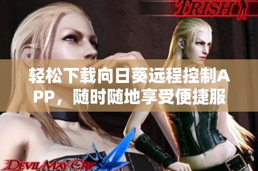 轻松下载向日葵远程控制APP，随时随地享受便捷服务