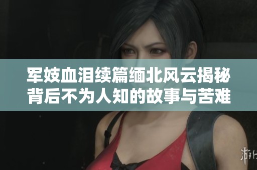 军妓血泪续篇缅北风云揭秘背后不为人知的故事与苦难