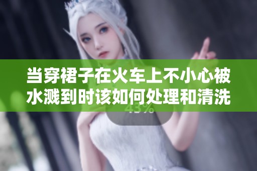 当穿裙子在火车上不小心被水溅到时该如何处理和清洗裙子