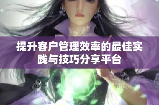 提升客户管理效率的最佳实践与技巧分享平台