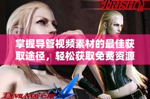 掌握导管视频素材的最佳获取途径，轻松获取免费资源技巧分享