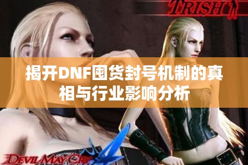 揭开DNF囤货封号机制的真相与行业影响分析