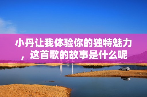 小丹让我体验你的独特魅力，这首歌的故事是什么呢