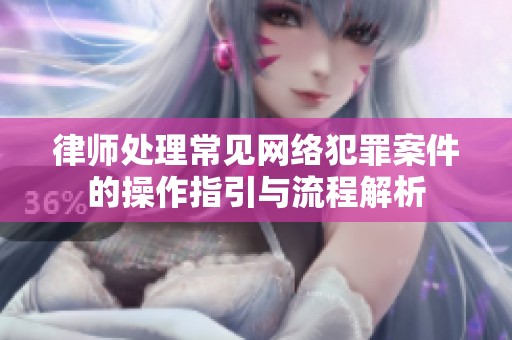 律师处理常见网络犯罪案件的操作指引与流程解析
